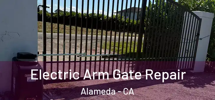  Electric Arm Gate Repair Alameda - CA