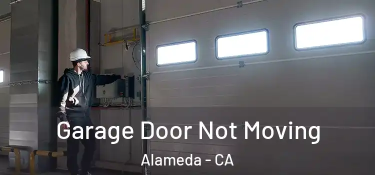  Garage Door Not Moving Alameda - CA