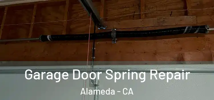  Garage Door Spring Repair Alameda - CA