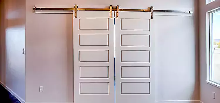 Glass Barn Door with Installation Hardware Kit Alameda