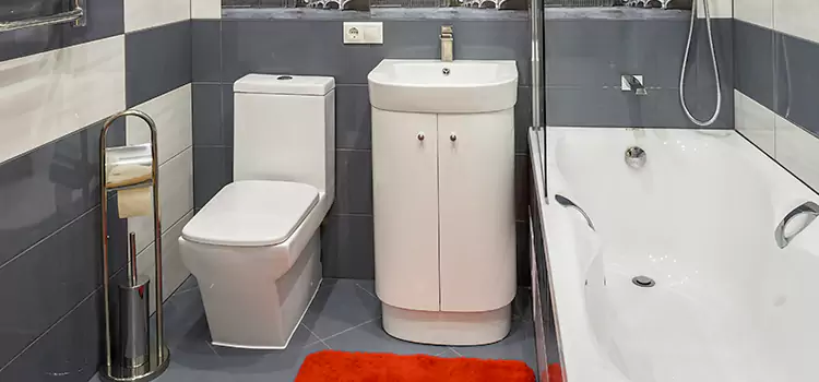Hansgrohe Shaving Mirror Alameda